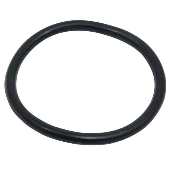 E-Z-GO O-Ring Oil Filter (Years 1991-Up)