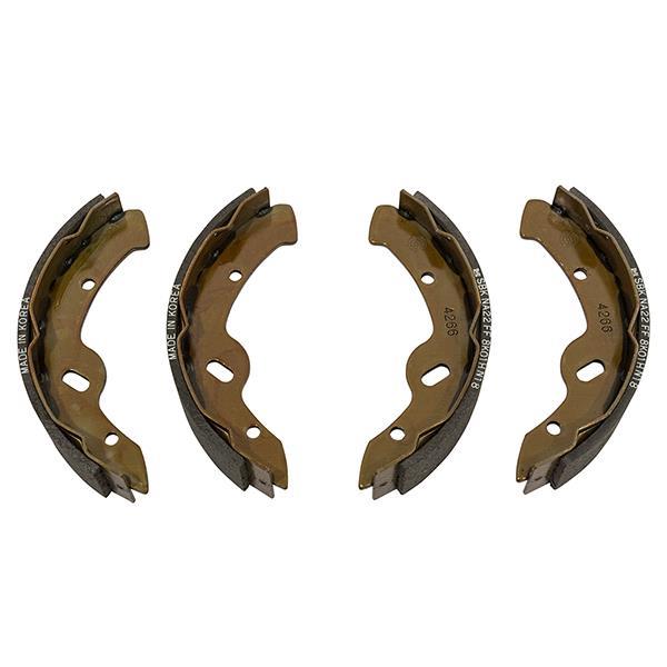 Set of Brake Shoes (Select Models)