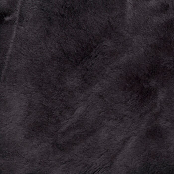 45983_2.jpg