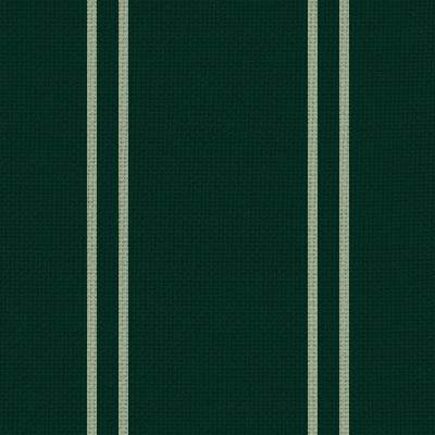 CHAM CP 33" VAL R707 ARDANE (ALL EZ, YA G29)
